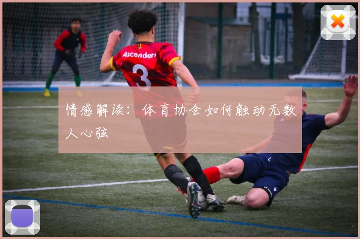 情感解读:体育协会如何触动无数人心弦