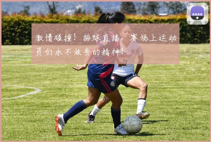 激情碰撞！排球直播，赛场上运动员们永不放弃的精神！