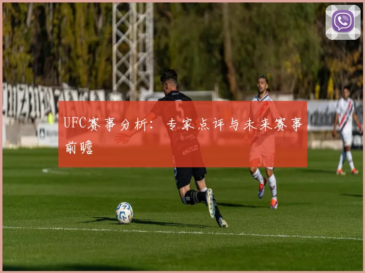UFC赛事分析：专家点评与未来赛事前瞻