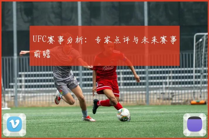 UFC赛事分析：专家点评与未来赛事前瞻